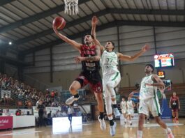 Selem Safar vuelve a San Lorenzo tras su paso por Zárate Basket.